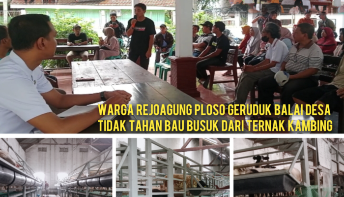 Warga Rejoagung Geruduk Balai Desa, Tak Tahan Bau Busuk Dari Perternakan Kambing.