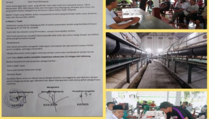 Perternakan Kambing Rejoagung Ploso Siap Pindah, Karena di Protes Warga