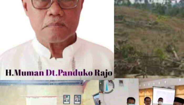 Ketua LSM-HAS Layangkan Surat ke Presiden RI Prabowo Subianto, Terkait Dugaan PT. Sukses Jaya Wood Rampas Tanah Hukum Adat