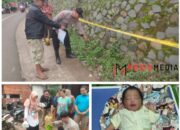 Penemuan Bayi Dalam Kardus Gegerkan Warga Desa Carangwulung