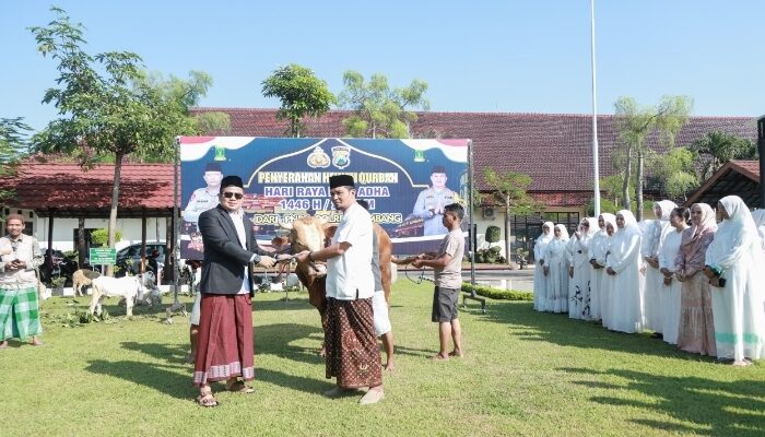 Polres Jombang Distribusikan Puluhan Hewan Kurban ke Pondok Pesantren, Yatim Piatu, Yayasan Pendidikan Hingga Masjid