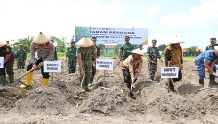 Wujudkan Swasembada Gula 2028, Pemkab Jombang dan Kodim 0814 Launching Tanam Tebu Perdana