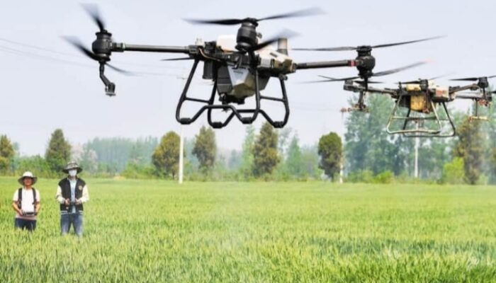 Disperta Jombang Genjot Pertanian Modern, 42 Personel Brigade Pangan Dilatih Operasikan Drone
